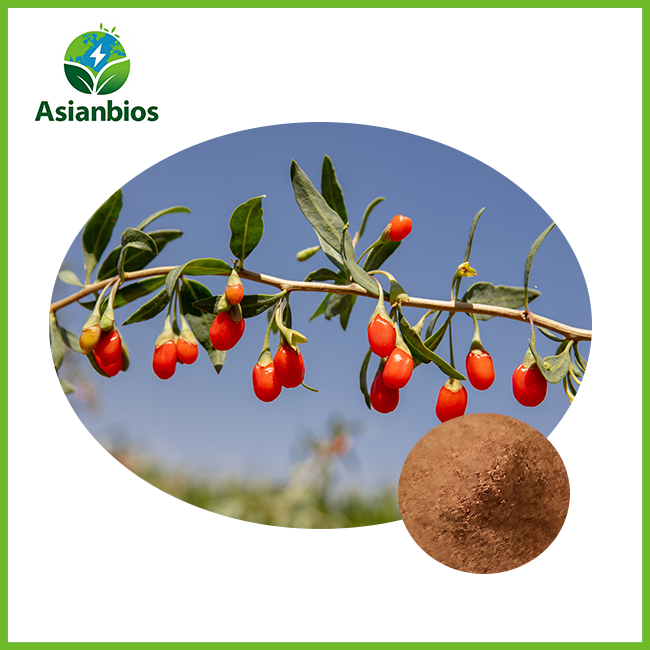 Lycium Barbarum Peptide